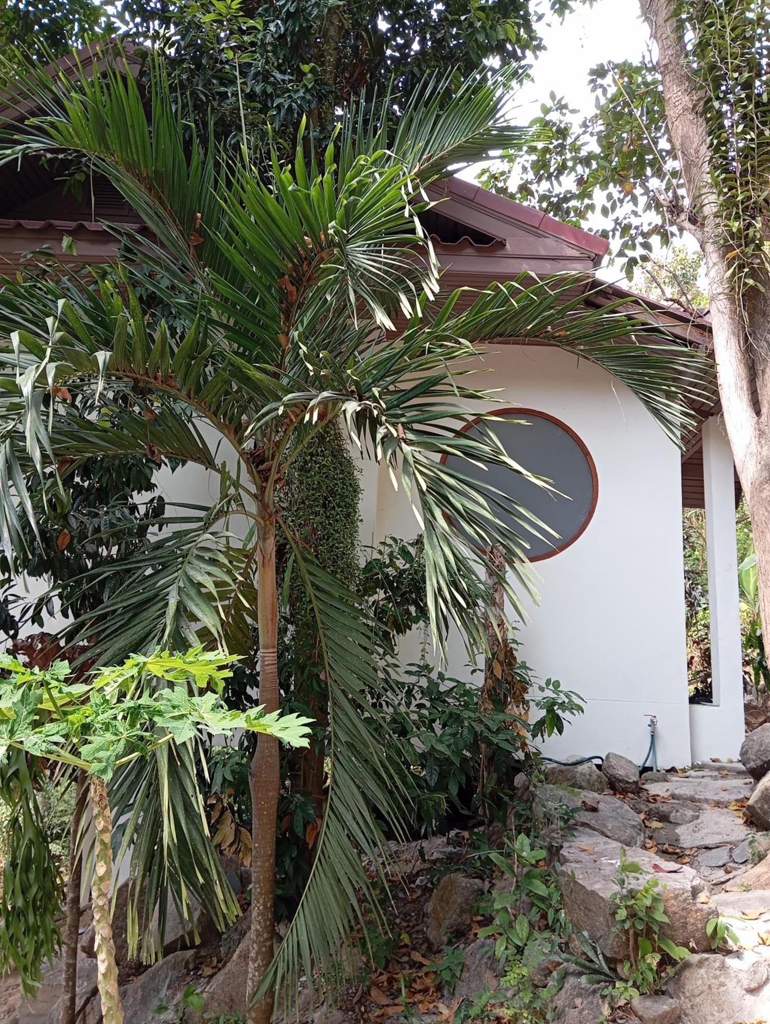 Crocus Garden Villa หาดยาว ภายนอก รูปภาพ